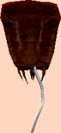File:Wc bm22 barnacle.png