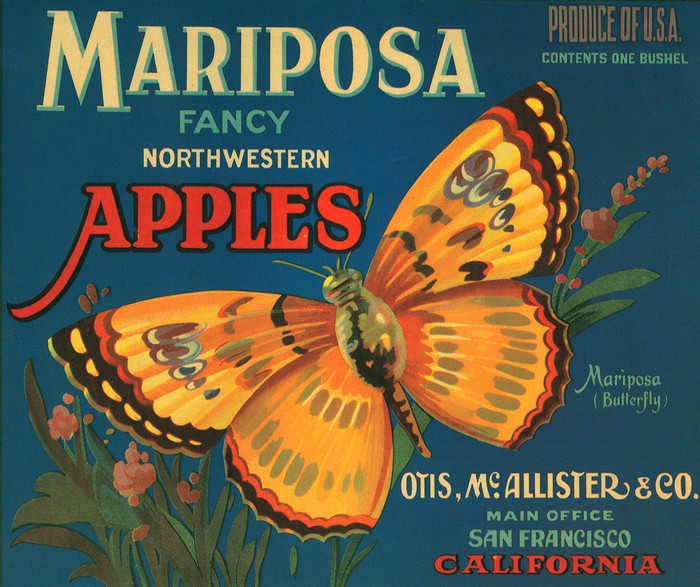 File:Mariposa.jpg