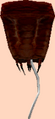 Wc bm22 barnacle.png
