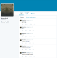 TwitterBreenGrub.png