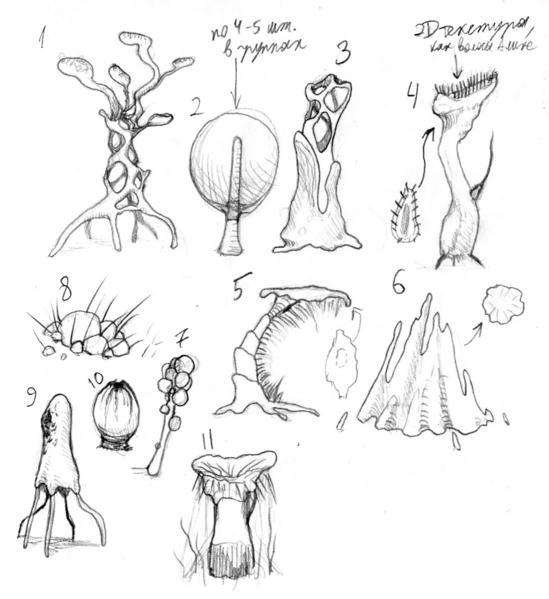 File:DI xen plants.jpg