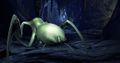 AcidAntlion.jpg