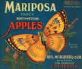 Mariposa.jpg