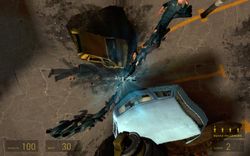 Hopwire ragdolls.jpg