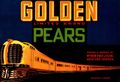 Golden Pears.jpg