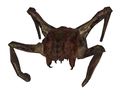 Headcrab Poison beta.jpg