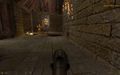 Dmcaction2.jpg