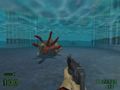 Bullsquid-Tech.jpg
