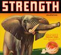 Strength.jpg