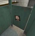Eggeyes toilets.jpg