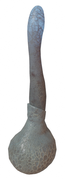 File:Xen Villi.png