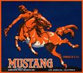 Mustang.jpg