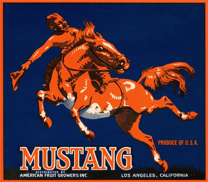 File:Mustang.jpg
