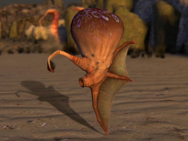 File:DI floater.jpg
